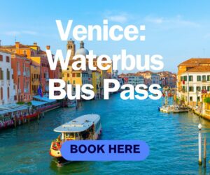 Venice Waterbus Bus Pass